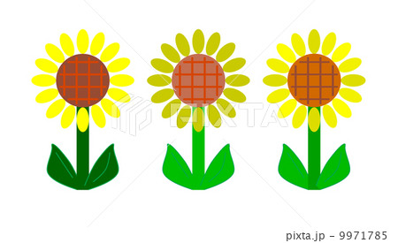 シンプルな向日葵 シンプルな向日葵 9971785
