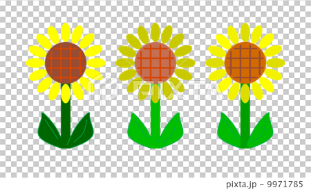 シンプルな向日葵 シンプルな向日葵 9971785