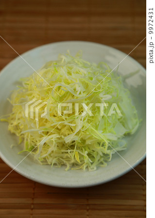 キャベツ 9972431