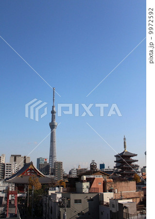 浅草寺　スカイツリーと五重塔 9972592