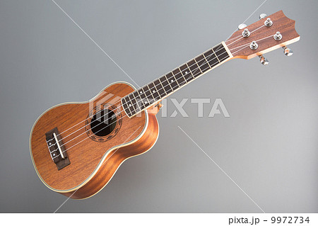 Ukulele guitar on gray background 9972734