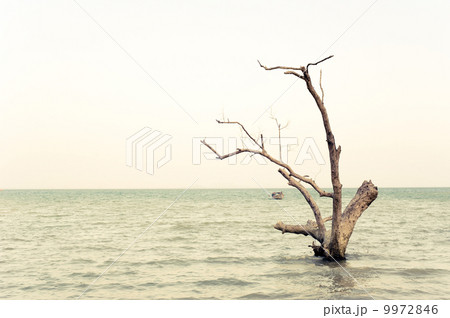 Tropical beach view in vintage style. Thailand 9972846