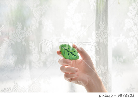 粘土の葉 9973802