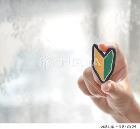 若葉マーク 9973804