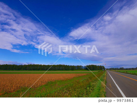 十勝平野南部の風景 9973861