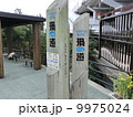 渦道？？ 9975024