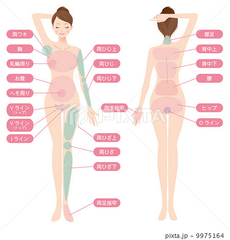 女性　美容　裸　ヌード　全身 9975164