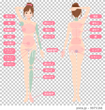 女性　美容　裸　ヌード　全身 9975166