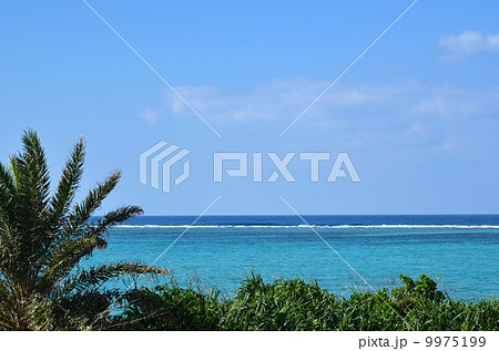 Tropical view Tropical view 9975199