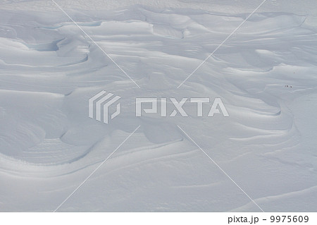 シュカブラ 9975609