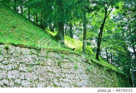 岩村城跡(岐阜県)The Ruins of Iwamura Castle in Gifu Prf. 岩村城跡(岐阜県)The Ruins of Iwamura Castle in Gifu Prf. 9976035