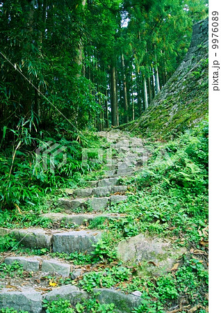 岩村城跡（岐阜県）The Ruins of Iwamura Castle in Gifu Prf. 9976089
