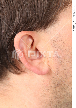 Close up of man with bristle. 9976558