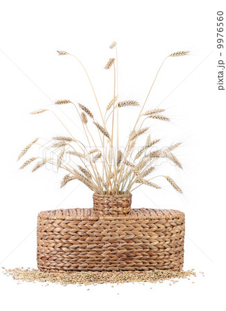 Wicker vase with wheat ears. 9976560