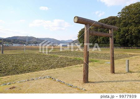 伊勢神宮 伊雑宮の御料田 伊勢神宮 伊雑宮の御料田 9977939