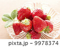 フレッシュイチゴ 9978374