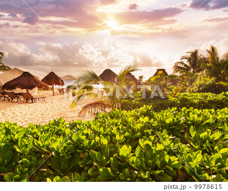 Tropical beach Tropical beach 9978615