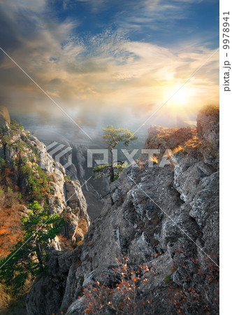 Fog in the mountains Fog in the mountains 9978941