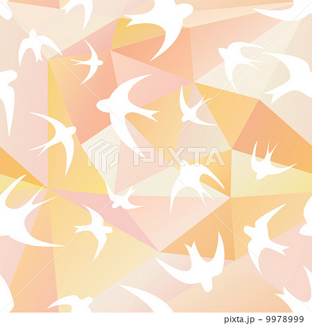 swallow and triangle 9978999