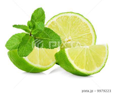 lime and mint isolated lime and mint isolated 9979223