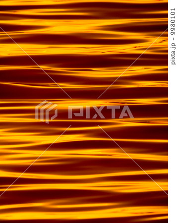 湖面に広がる金色の波 9980101