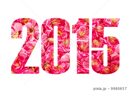 2015年の花文字 9980657