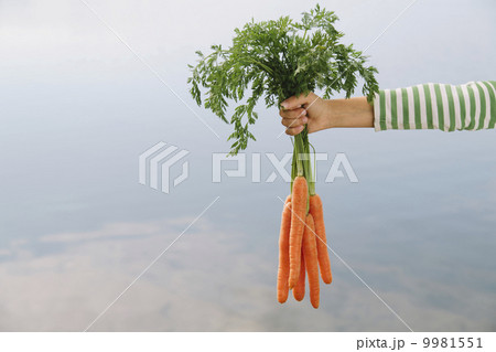 Nine year old girl holding organic carrots Nine year old girl holding organic carrots 9981551