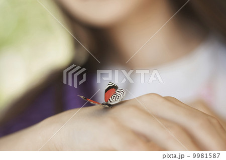 A child examining a butterfly, which has landed on her hand. A child examining a butterfly, which has landed on her hand. 9981587