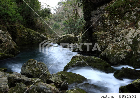 元伊勢天岩戸神社の渓谷 9981801