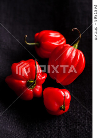 Red chili peppers Red chili peppers 9981893