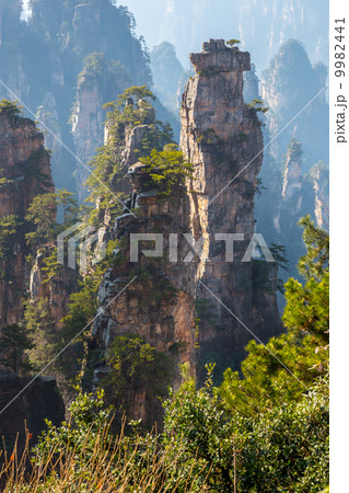 Zhangjiajie China 9982441