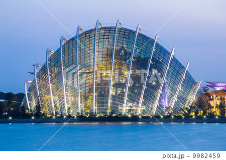 Singapore Garden by the bay 9982459