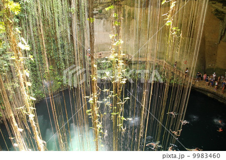 セノーテ cenote セノーテ cenote 9983460