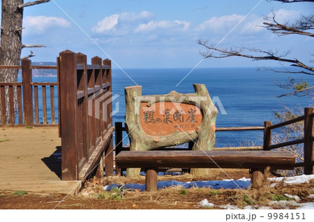 鵜の巣断崖５ 9984151