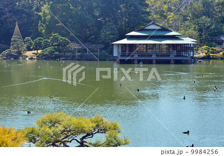 清澄庭園・大泉水と涼亭 清澄庭園・大泉水と涼亭 9984256