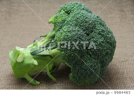 ブロッコリー ブロッコリー 9984465