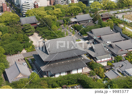 芝　増上寺 9985377