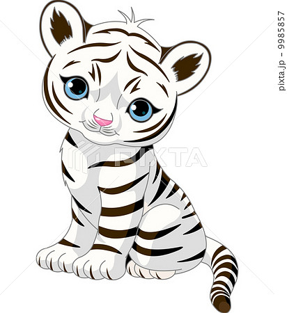 Cute White Tiger Cubのイラスト素材