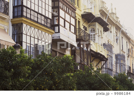 スペインの街（セビリア） 9986184