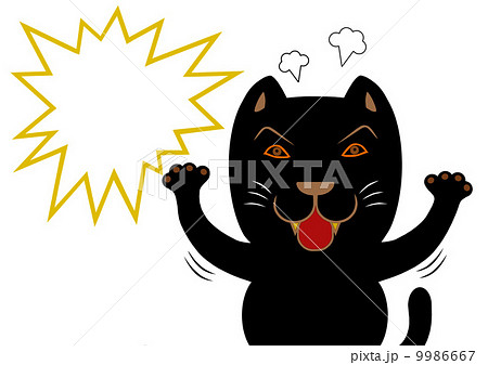 ねこ ねこ 9986667