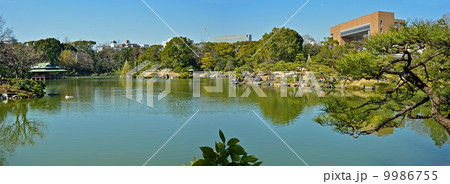 清澄庭園・大泉水と涼亭 9986755