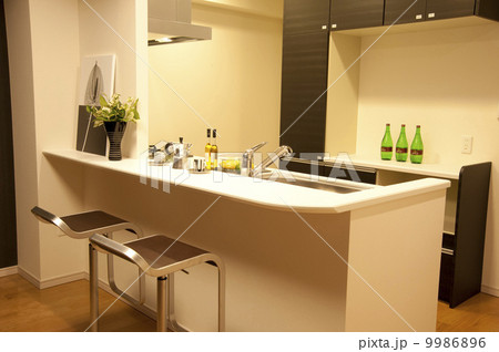 カウンターキッチン 9986896