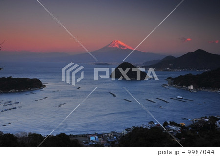 内浦湾から朝焼けの富士山 9987044