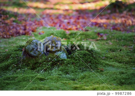 童地蔵 紅葉 三千院 童地蔵 紅葉 三千院 9987286