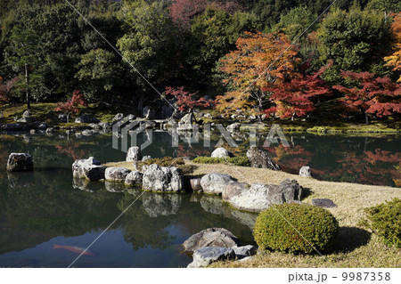 天竜寺の紅葉 9987358