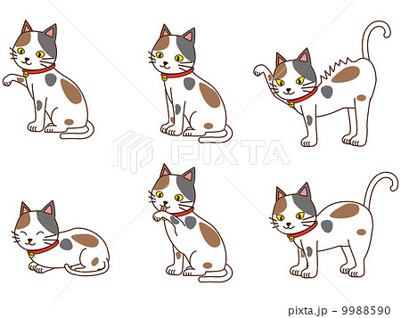 猫 9988590