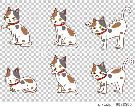 猫 9988590