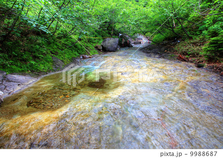 カムイワッカ　湯の滝 03 9988687