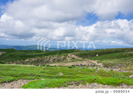 北海道旭岳遊歩道 9989034