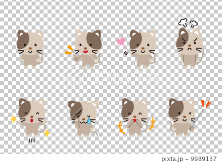 猫　ネコ　子猫　ペット　動物　ポーズ　 9989137